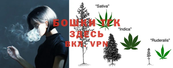 гидропоника Богданович