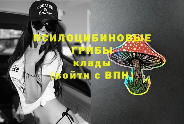 каннабис Богородицк