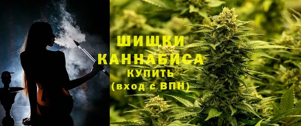 гидропоника Богданович
